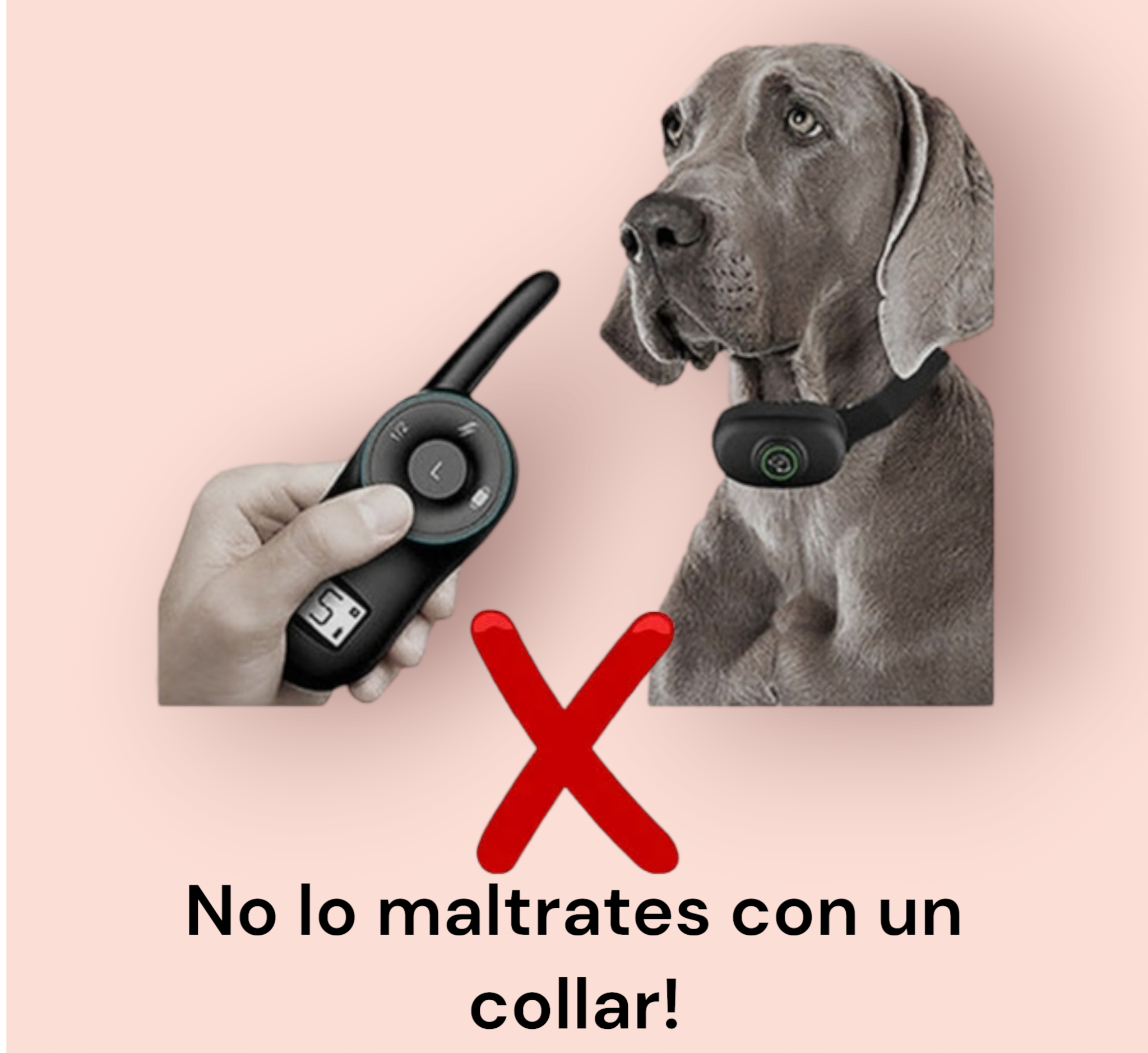 HappyPets®🐾